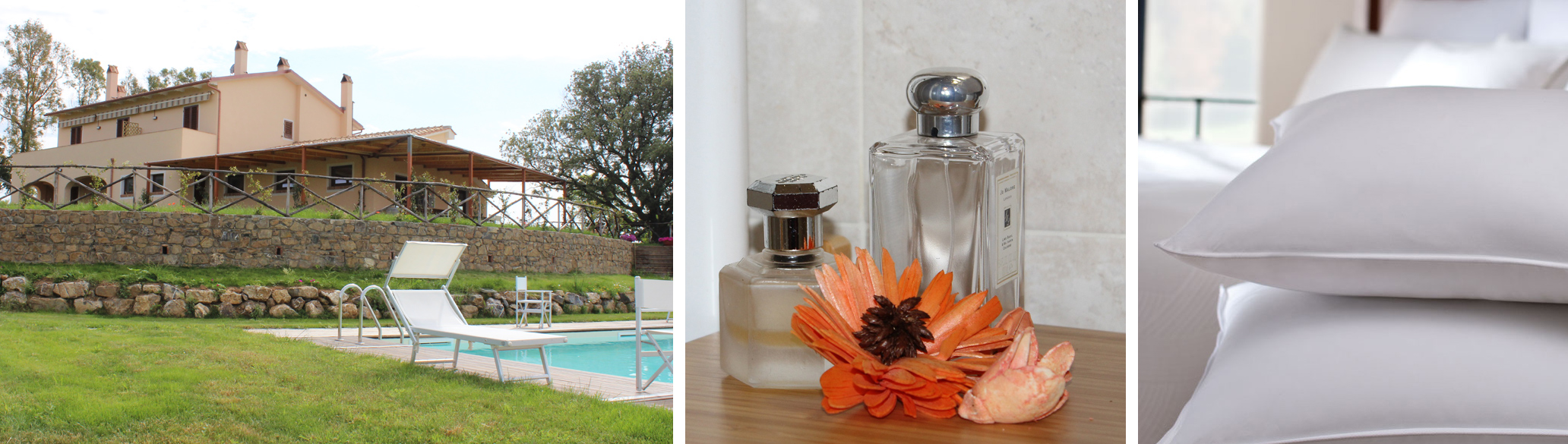Agriturismo Azienda Agricola L'Anichino, casale tipico toscano con piscina, affitto appartamenti, prodotti biologici, olio di oliva, cucina tipica toscana