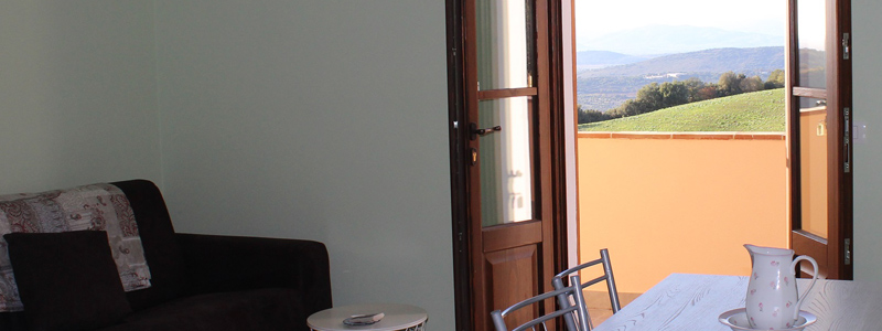 Appartamento Olivastra Seggianese, cucina completa, aria condizionata, wi-fi.